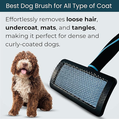 Pet Slicker Brush (Small Size, Black) for Grooming Pet Hair with Fluff Detangle Style  Dog Brush for Long & Short Haired Dogs for Goldendoodles  Curved Pin for  Removes Tangles & Loose Fur