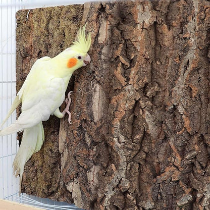 4 Pack Cork Bark Perch for Bird, 11.8 _ 7.9 inch Natural Parrot Chewing Toys, Birdcage Background Decor Accessories, Bark Toy for Budgie Parakeet Cockatiel Lovebirds Conures Hamster Guinea Pig Rat