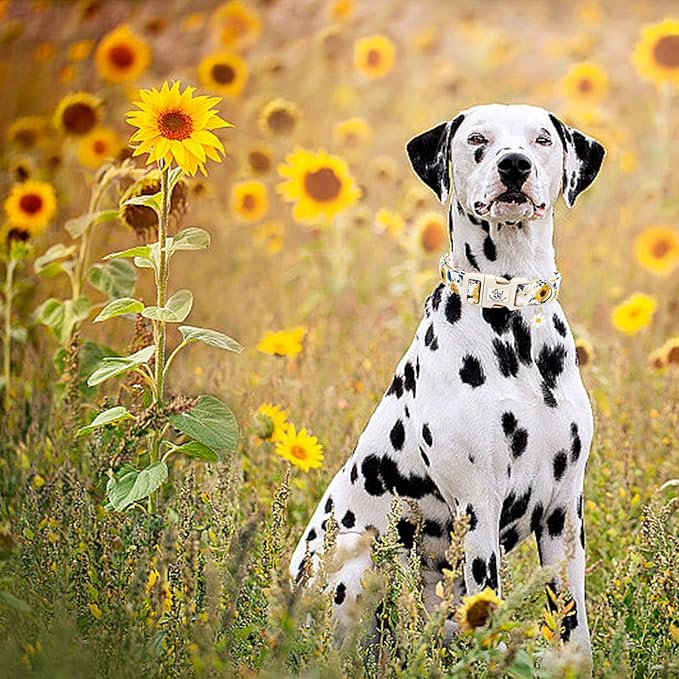 Elegant little tail Dog Collar, Sunflower Pattern Pet Collar Cute Durable Spring Female or Male Adjustable Cotton Pet Collar with Quick Release Buckle for Large Dogs