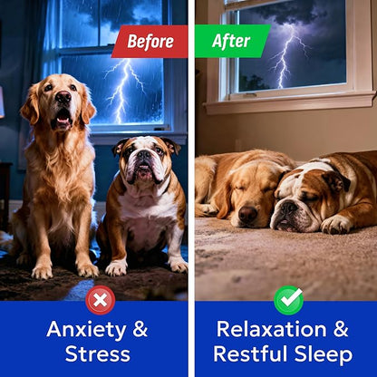 (MAX Strength) Melatonin for Dogs to Sleep & Anxiety Aid - Medium & Small Breeds - 6mg Doggie Sleeping Pills - 120 Treats