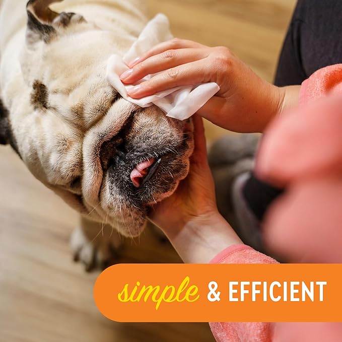 Cleansing Facial Wipes for Pets | Convenient Face Cleaning Wipes (60 Count) for Dogs and Cats | Hypoallergenic, Fragrance-Free, Remove Eye Discharge and Tear Stains