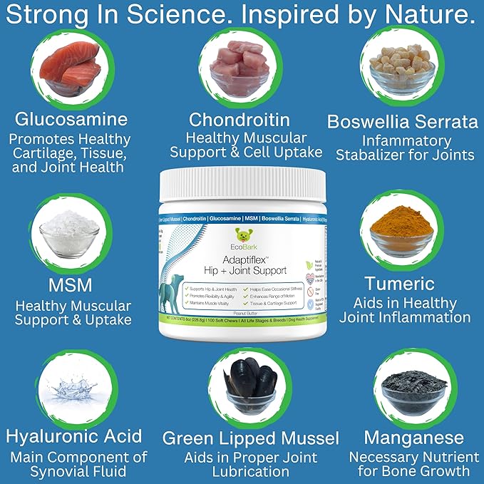 Adaptiflex Natural Joint Supplement for Dogs - Chondroitin, MSM, & Glucosamine for Dogs Hip and Joint Supplement - Aids in Joint Pain Relief - Hip and Joint Soft Chew Supplement for Dogs-Peanut Butter