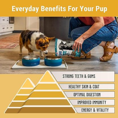 MONTANA DOG FOOD CO. Freeze-Dried Raw Chicken Recipe Dog Food – Grain-Free, High-Protein Meal or Topper, Made in USA with USA Ingredients -6.4 oz Bag