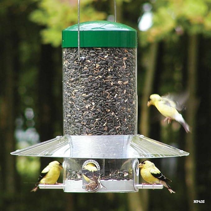 Birds Choice Classic Hanging Bird Feeder with Weatherguard Baffle | Squirrel Proof Bird Feeder for Cardinals, Chickadees, Woodpeckers | Sturdy Steel Construction | Backyard Birdseed Dispenser | Green