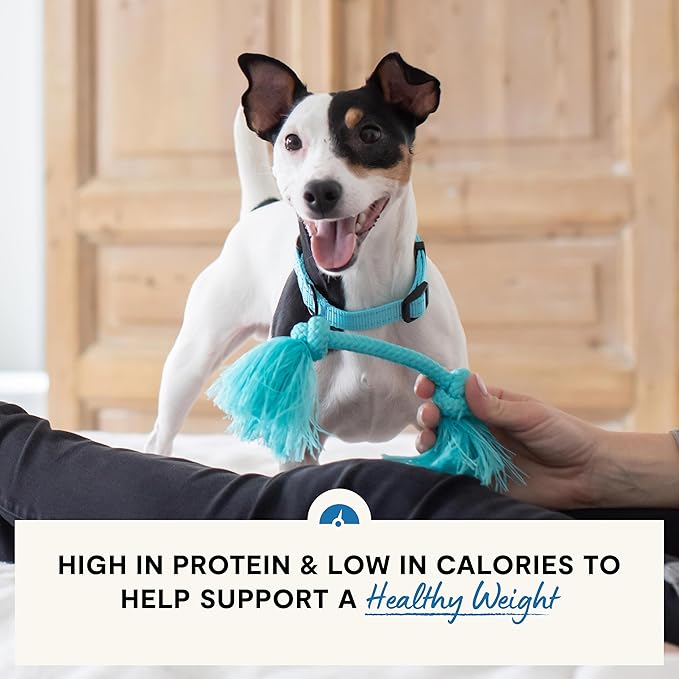 Open Farm, Healthy Weight Dog Food, Veterinarian Formulated High-Protein & Low-Calorie Dry Dog Food for Weight Management, Supports Metabolism & Mobility, Chicken & Whitefish Recipe, 4lb Bag