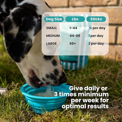 Advanced Joint & Hydration Supplement for Dogs – Vet-Approved - Soluble Powder with Collagen, Electrolytes, 7 Active Nutrients & Vitamins – Chicken Broth Flavor (Up to 4 Weeks Supply)