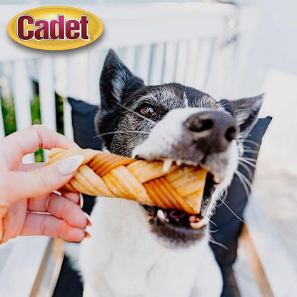 Cadet Chewalicious Chewy 'N Crunchy Braid Dog Treats, Limited Ingredient Rawhide-Free Dog Chews, Long-Lasting Made with Real Chicken, 3 Count (Pack of 1)