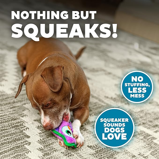 Outward Hound Durablez Minis Stuffing-Free Squeaky Plush Dog Toy for Puppies & Small Dogs - Interactive, Soft Yet Tough, No Mess, Jumbo Squeaker, Long-Lasting Play, Owl