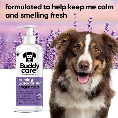 Calming & Deodorising Dog Shampoo by Buddycare | Lavender Scented | with Aloe Vera and Pro Vitamin B5 (50.72oz)