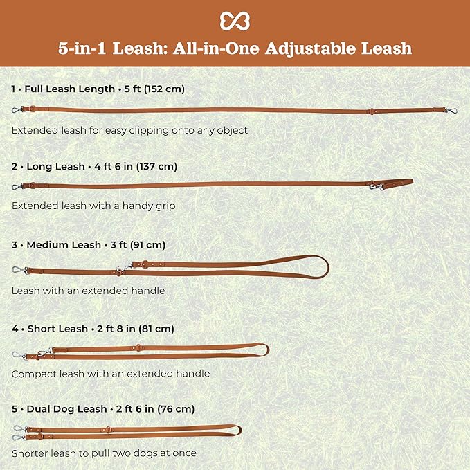 Dog Harness and Leash Set | BearBone No Pull Dog Harness and Waterproof Dog Collar and Leash Set | Heavy Duty Dog Harness, Leash and Collar | Small Dog Harness and Leash Set (Brown, Small)