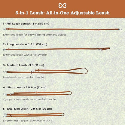 Dog Harness and Leash Set | BearBone No Pull Dog Harness and Waterproof Dog Collar and Leash Set | Heavy Duty Dog Harness, Leash and Collar | Small Dog Harness and Leash Set (Brown, Small)