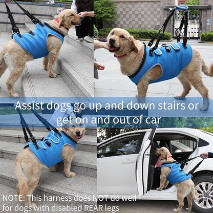 Dog Lift Harness, Recovery Sling Support Vest Stair Lift for Front Legs Only, Mobility Carrier with Handle for Senior, Elderly, Disabled, Joint Injuries, Arthritis, Paralysis- Large