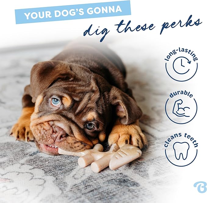 Benebone Puppy Fishbone Dog Chew Toys, Softer for Modest Chewers, Made in USA