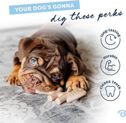 Benebone Puppy Fishbone Dog Chew Toys, Softer for Modest Chewers, Made in USA