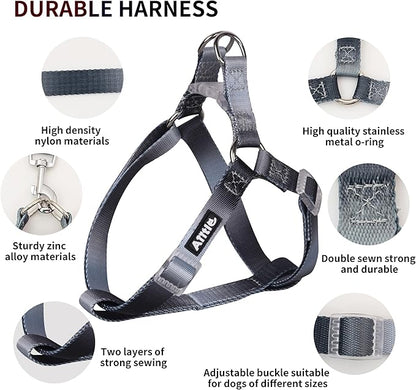 AIITLE No Pull Small Dog Harness and Leash Set- Escape Proof/Quick Fit Dog Halter Harness,Easy for Training Walking -Sturdy Buckle and Double D Ring -Puppy Harness for Small Dogs,Black-Grey Gradient S
