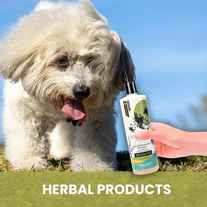 Holistic Natural Anti-Inflammatory Pet Shampoo: Veterinarian Recommended: Soothing Joints & Soreness for Dogs, Cats and Horses - Made in USA - 16 oz