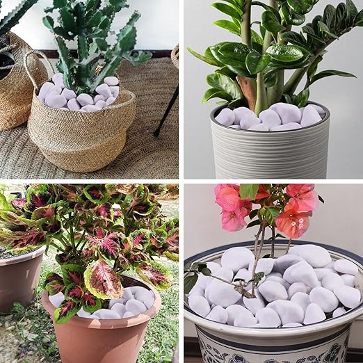 20Ib Snow White River Rock-Decorative Stones-Pebbles for Indoor Plants-Rocks for Outdoor Landscaping 1-2 inch High Polished Stones for Aquarium, Home Decor,Garden Decor