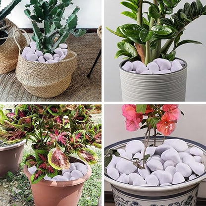 20Ib Snow White River Rock-Decorative Stones-Pebbles for Indoor Plants-Rocks for Outdoor Landscaping 1-2 inch High Polished Stones for Aquarium, Home Decor,Garden Decor