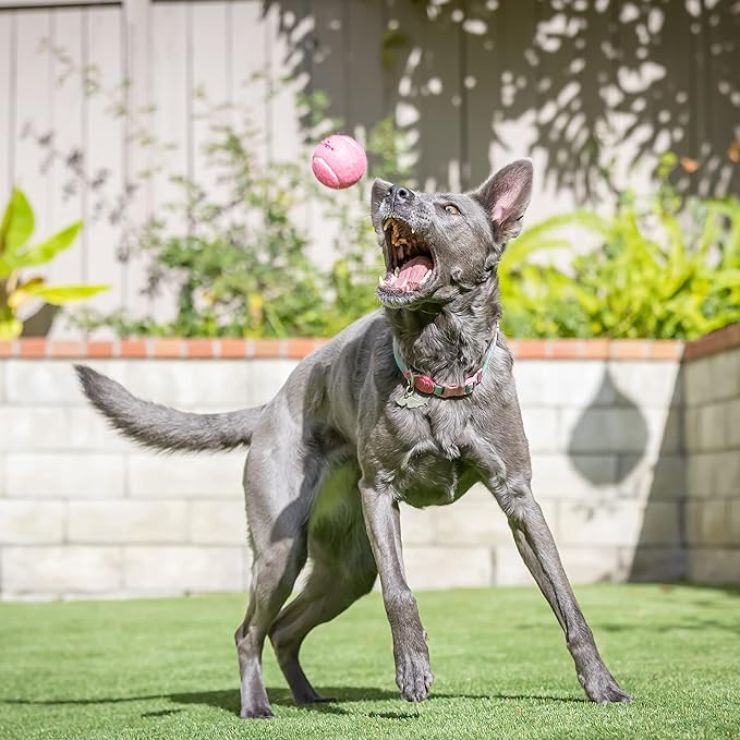 Hyper Pet Tennis Balls for Dogs (Pet Safe Dog Tennis Ball for Exercise and Training, Interactive Toys work with Hyper Pet K9 Kannon K2 Launcher - 4 Pack 2.5" Pink