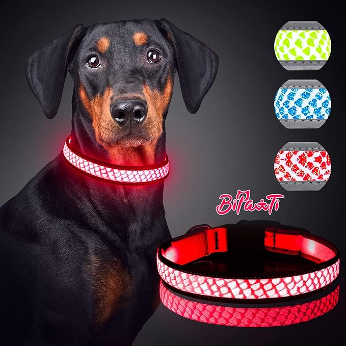 BiPawTi Light Up Dog Collars-Lighted Dog Collar Safety Reflective Rechargeable Glow in The Dark Dog Collars-Led Dog Collar for Dog Walking,Camping,Hiking