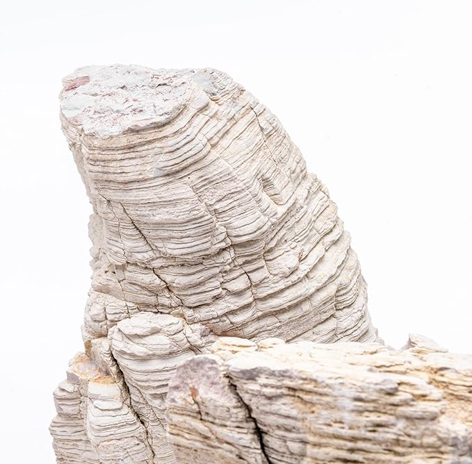 SubstrateSource Natural Stone for Aquarium, Terrarium, Paludarium, Reptile Enclosures - Set of Decorative Rocks for Landcapes, Aquascaping, Fish Tank Decor (Sand Stone, 30 Pounds, 3-8")