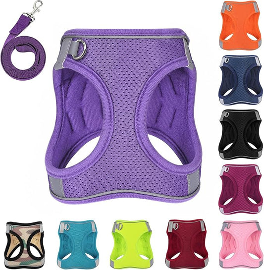 Dog Harness with Leash Set, No-Pull Step-in Reflective Pet Harness with 1 Leash Clips, Adjustable Soft Padded Easy Walk Dog Vest for Small Medium Large Dogs, Cats(Light Purple, Small)