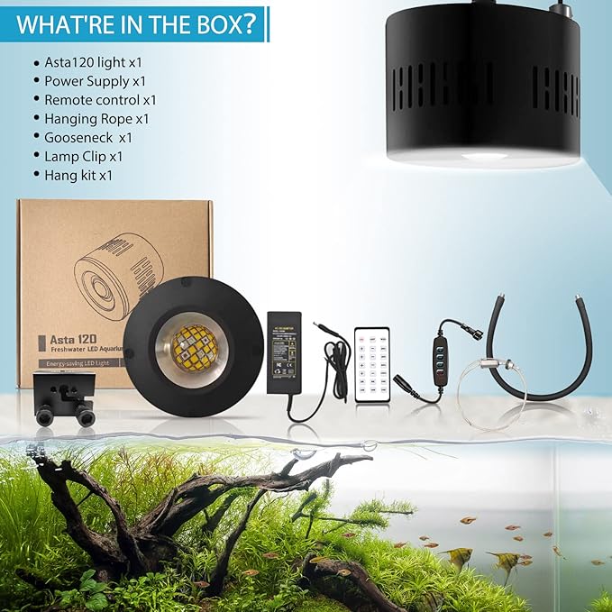 Lominie Aquarium LED Light 10 Gallon Fish Tank Light Timer Clip on Aquarium Lamp Full Spectrum 80W 6500k for Freshwater Refugium Cube Tank with Gooseneck