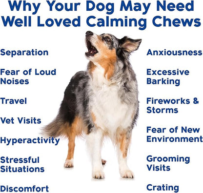 Calming Chews for Dogs - Dog Calm Treats, Made in USA, Vet Developed, Behavior Support, Stress, Separation, Fireworks, Travel, Melatonin, Natural & Holistic, 90 Count