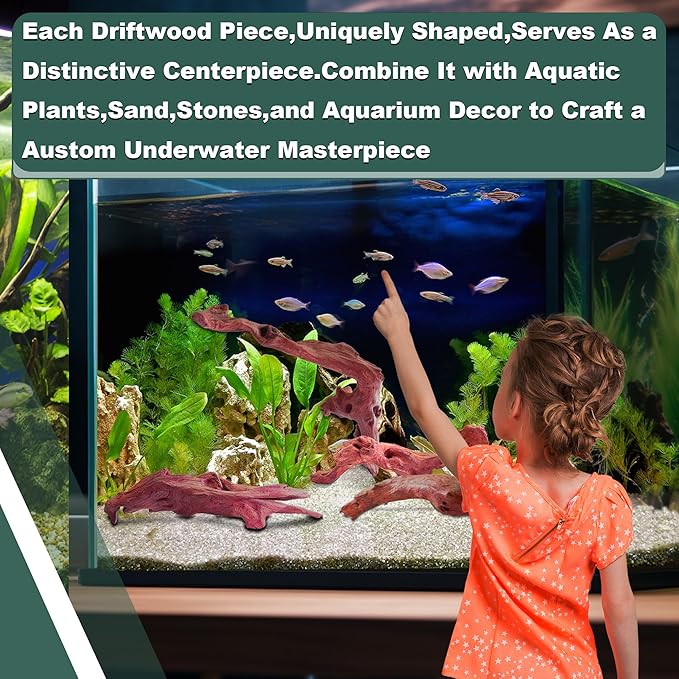 2 PCS Natural Driftwood for Aquarium Fish Tank Decor,Assorted Driftwood Branch for Reptile Decor (ZYM-S(8-12 Inch)-2 PCS)