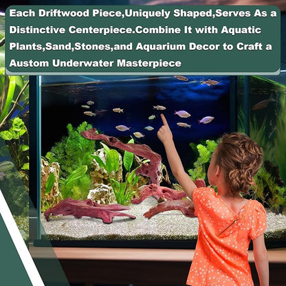 2 PCS Natural Driftwood for Aquarium Fish Tank Decor,Assorted Driftwood Branch for Reptile Decor (ZYM-S(8-12 Inch)-2 PCS)