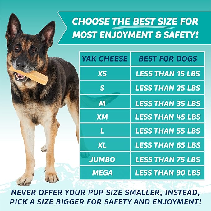 Yak Cheese Chews: Himalayan Yak Cheese Dog Chews- Natural, Healthy & Long Lasting Dog Treats - Grain, Gluten & Lactose-Free Rawhide Alternatives, for Dogs 35 lbs and Smaller, Single Medium