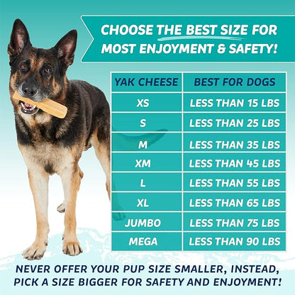 Yak Cheese Chews: Himalayan Yak Cheese Dog Chews- Natural, Healthy & Long Lasting Dog Treats - Grain, Gluten & Lactose-Free Rawhide Alternatives, for Dogs 35 lbs and Smaller, Single Medium