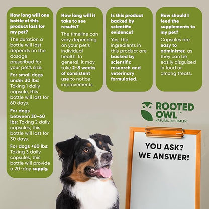 Rooted Owl Cardio Support - L-Taurine and L-Carnitine Supplement for Dogs - Cardiovascular and Heart Health Supplements for Dogs - 60/ct