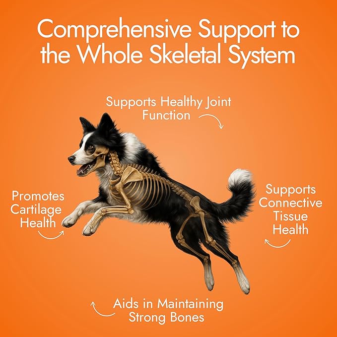 Dog Hip and Joint Supplement - Glucosamine for Dogs (Beef Liver, 60 Chews) - Dog Joint Supplement with MSM, Chondroitin, Vet Approved Dog Vitamins -Mobility Joint Pain Supplements