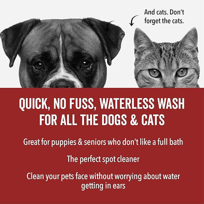 Pride and Groom DogDays No Rinse Quick Cleaning Shampoo | Waterless Foaming Dry Shampoo for Dogs & Cats | Odor-Eliminating, Hypoallergenic Pet Cleanser | 8 fl oz | Made in USA