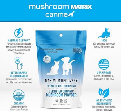 Om Mushroom Matrix Pet - Canine | Maximum Recovery | USA Grown Human-Grade Organic Mushroom Powder Pet Supplement | Optimal Health & Senior Care for Dogs & Cats | 100 Grams, 3.5 oz