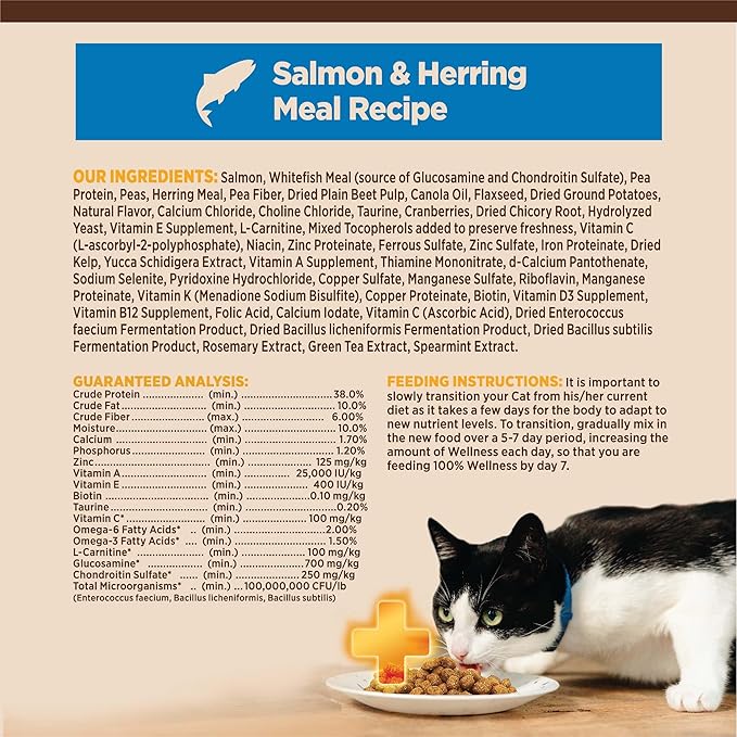 Wellness CORE+ Adult Dry Cat Food for Indoor Cats, Grain-Free, Natural, Salmon and Herring Meal (5 Pound Bag)