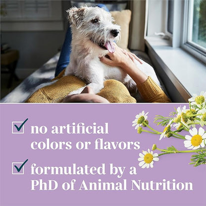 By Purina Calming Dog Supplements Soft Chews - 10.6 oz. Canister