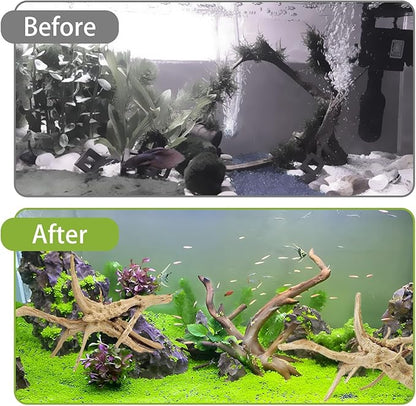 Tfwadmx Natural Driftwood for Aquarium, 6-8" 4 Pcs Wood Aquarium Decorations Fish Tank Log Reptile Tree Branches, Assorted Spider Wood Branch