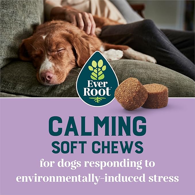 By Purina Calming Dog Supplements Soft Chews - 10.6 oz. Canister