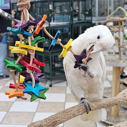 Birds LOVE Wood Stars & Leather Toy for Bird Cage Stand or Playgym, Bird Toys for Small to Medium Parrots, Sun Conures, Green Cheeked Conures, Quakers, Parakeets, Caiques, Cockatiels, African Senegals