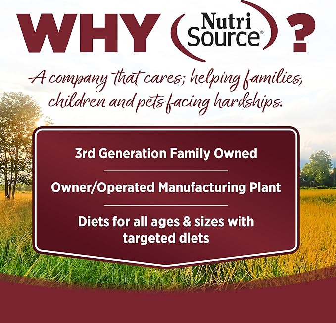 NutriSource Dry Dog Food, Beef and Rice, 4LB