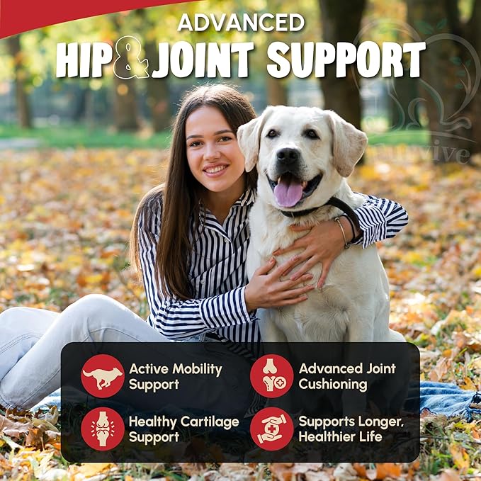 Veterinary Grade Hip and Joint Supplement for Dogs – 40 Scoops Ultimate Strength Dog Supplements for Advanced Mobility, Joint Comfort, Cartilage Health, Flexibility – Liver Flavored