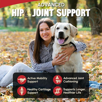Veterinary Grade Hip and Joint Supplement for Dogs – 40 Scoops Ultimate Strength Dog Supplements for Advanced Mobility, Joint Comfort, Cartilage Health, Flexibility – Liver Flavored
