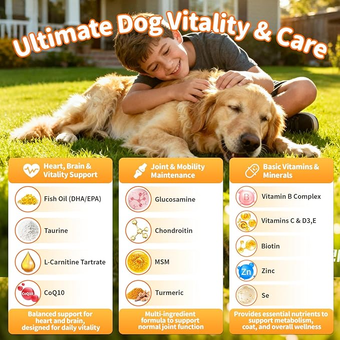 25-in-1 Dog Multivitamin Chews  All-in-One Daily Vitamins & Supplements for Dogs, Joint Support with Glucosamine MSM, Omega-3 Skin & Coat, Gut, Heart & Brain, All Breeds & Ages, Beef, 60Ct