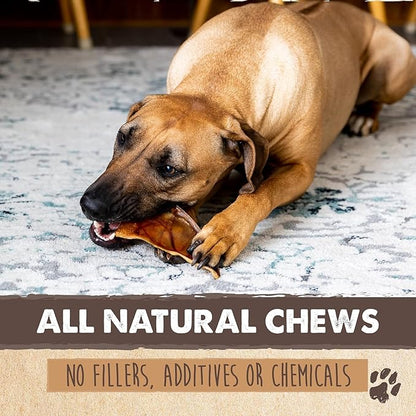 Mighty Paw Half Pig Ears for Dogs - All Natural, Single Ingredient Pig Ear Dog Treats. Rawhide Alternative, Snacks for Small and Large/Medium Dogs. Pigs Ears Dog Chews, Dog Pig Ears (12 Pack)