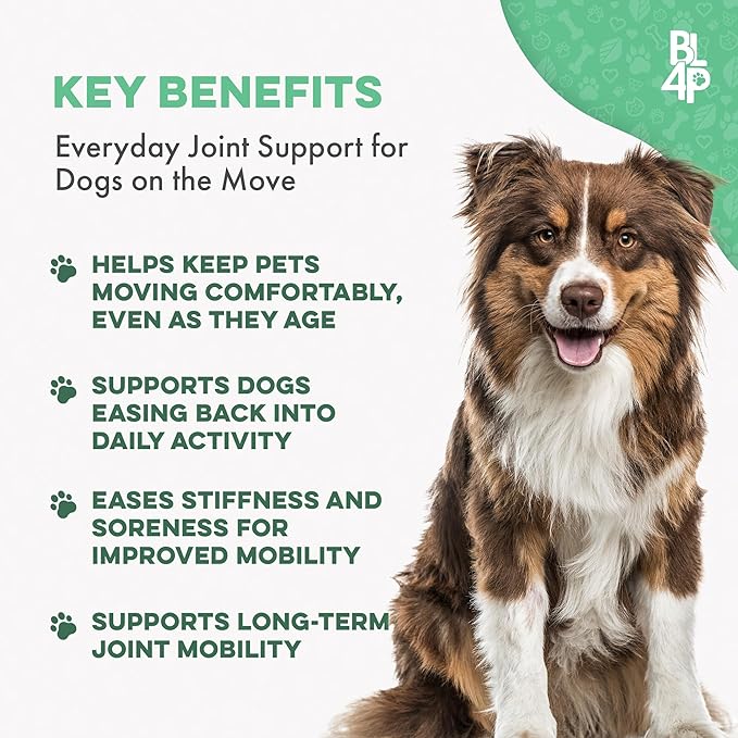 Large Breed Hip and Joint Supplement for Dogs - Premium Natural Joint Support and Mobility Relief Helps Ease Stiffness so Senior Dogs can Climb Stairs, Walk Pain Free and Play Again (180 Tiny Pills)
