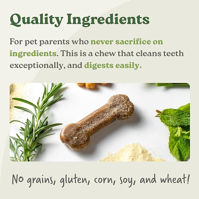 Earthbones (Formerly Terrabones) Dental Chews, Dog Teeth Cleaning Treat, Large, 6 Treats