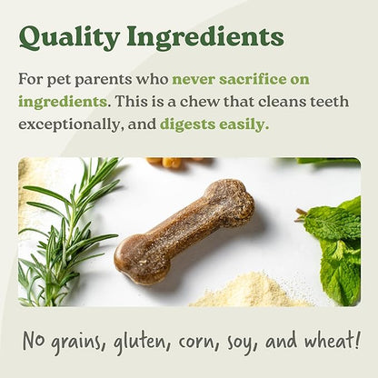 Earthbones (Formerly Terrabones) Dental Chews, Dog Teeth Cleaning Treat, Large, 6 Treats