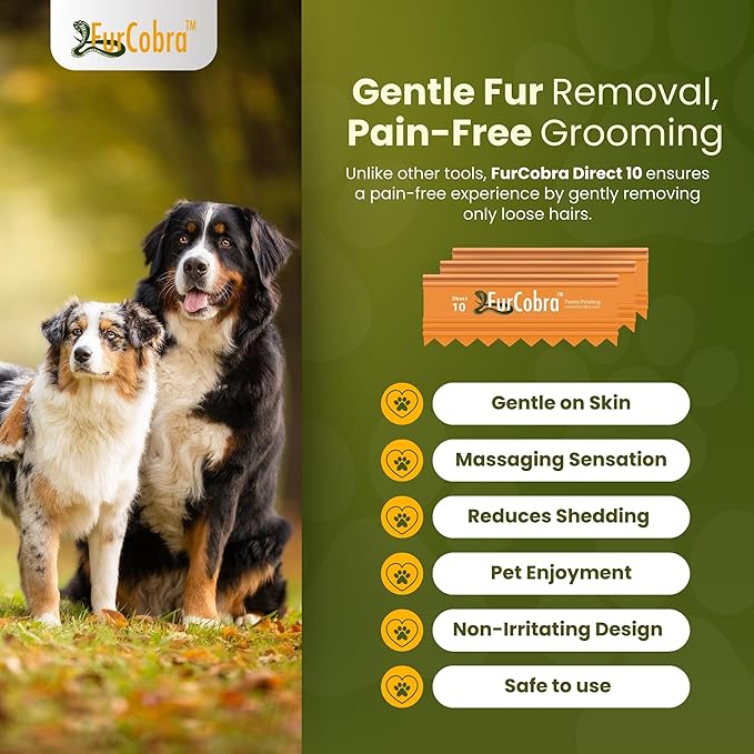 Direct 10 Pet Grooming Brush - Gentle, No Metal Blades, Soft Dog Brush, Cat Brush - Train Pets to be Brushed - Slicker Pet Brush, Puppy Brush, Kitten Brush, Cat Hair Brush, Dog Hair Brush